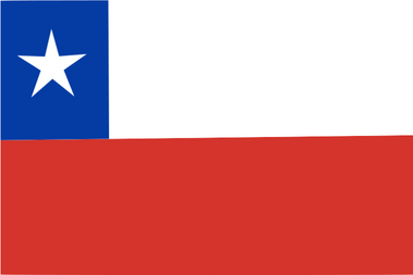 Panel badania rynku w Chile