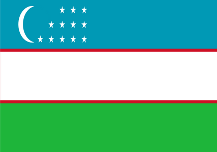 Panel badawczy online w Uzbekistanie