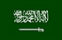 Panel badawczy online w Arabii Saudyjskiej (KSA)